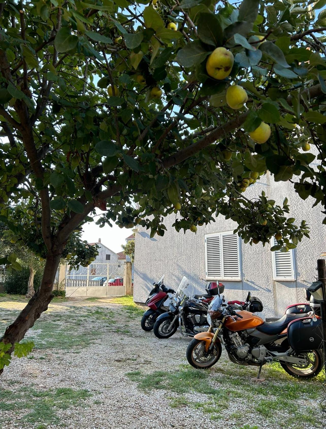 Apartmán Jadran Free Parking Sea View *
